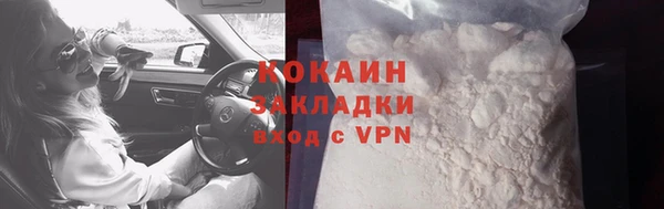 бошки Пересвет