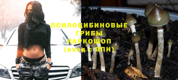 винт Магас